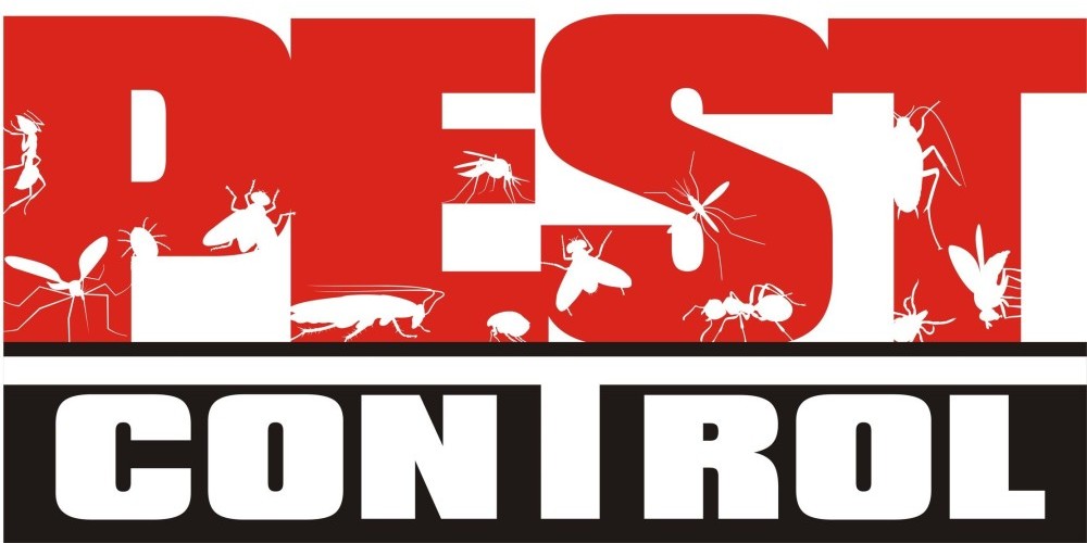 Pest Control Melbourne Wide