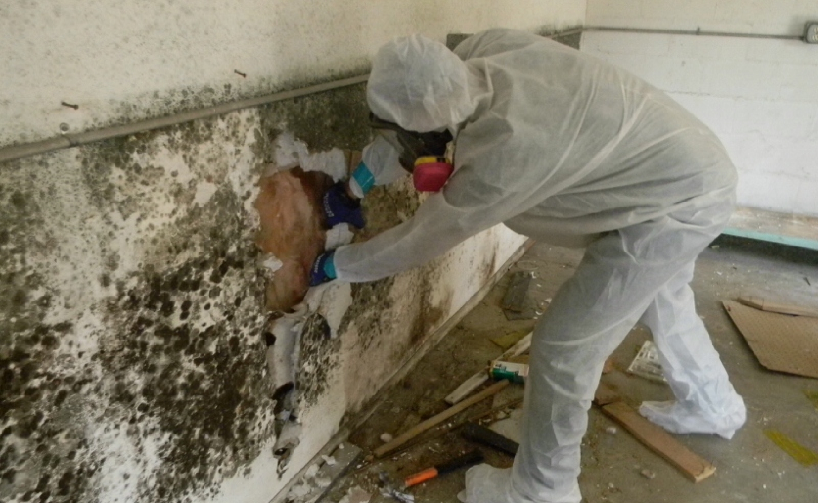 asbestos inspection melbourne