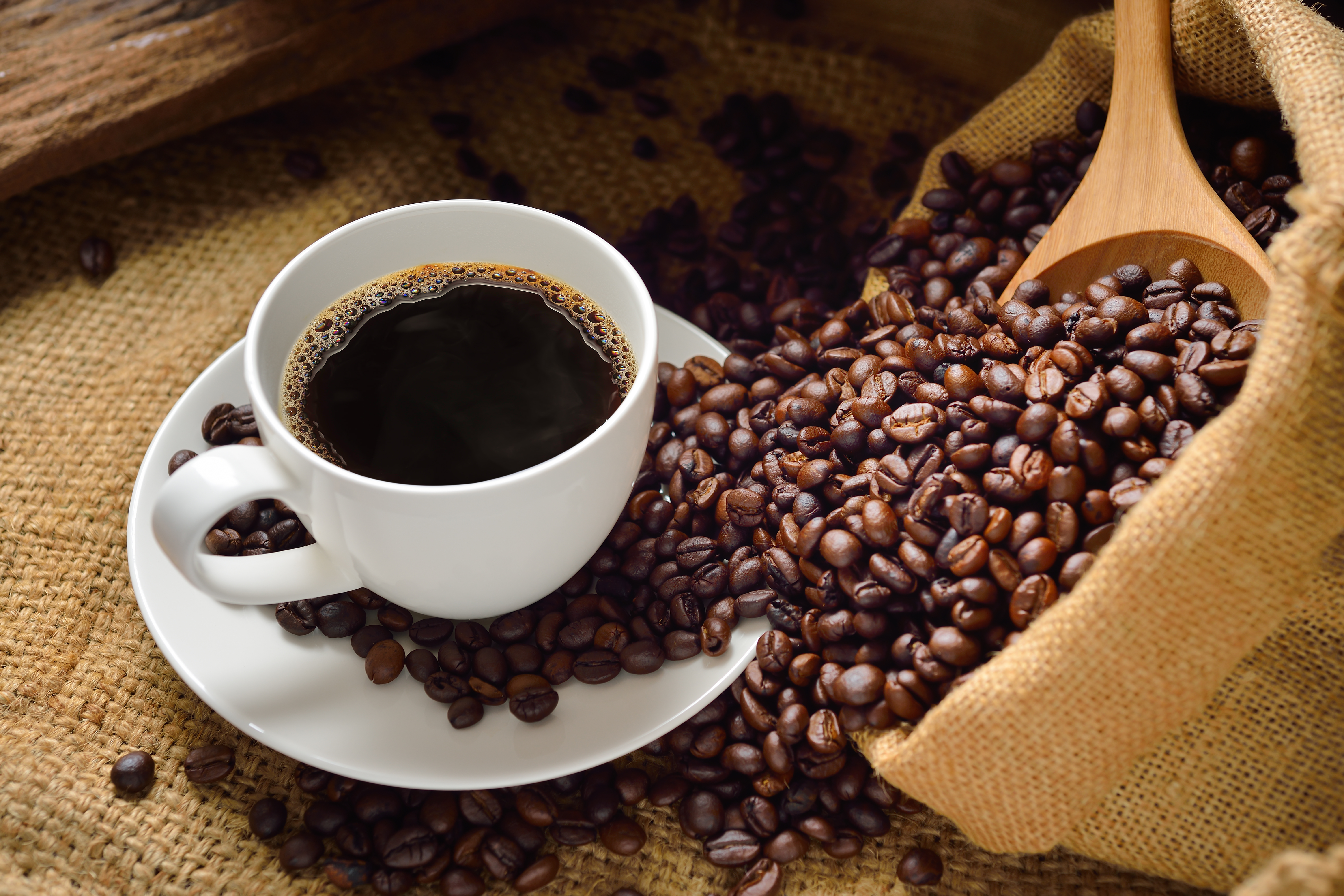 https://digitaltrades.com.au/how-to-find-the-best-wholesale-specialty-coffee-supply/