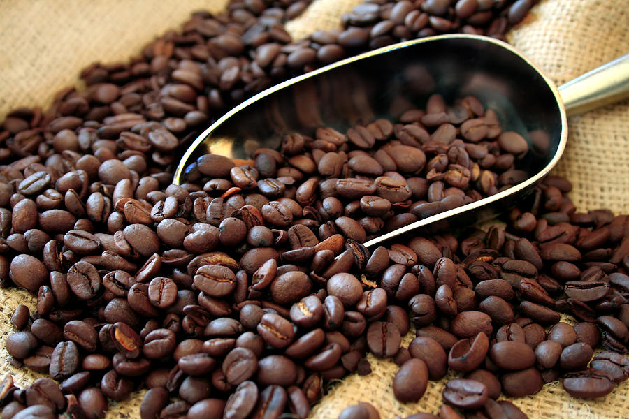 The Best Coffee Beans Online: Where to Buy!