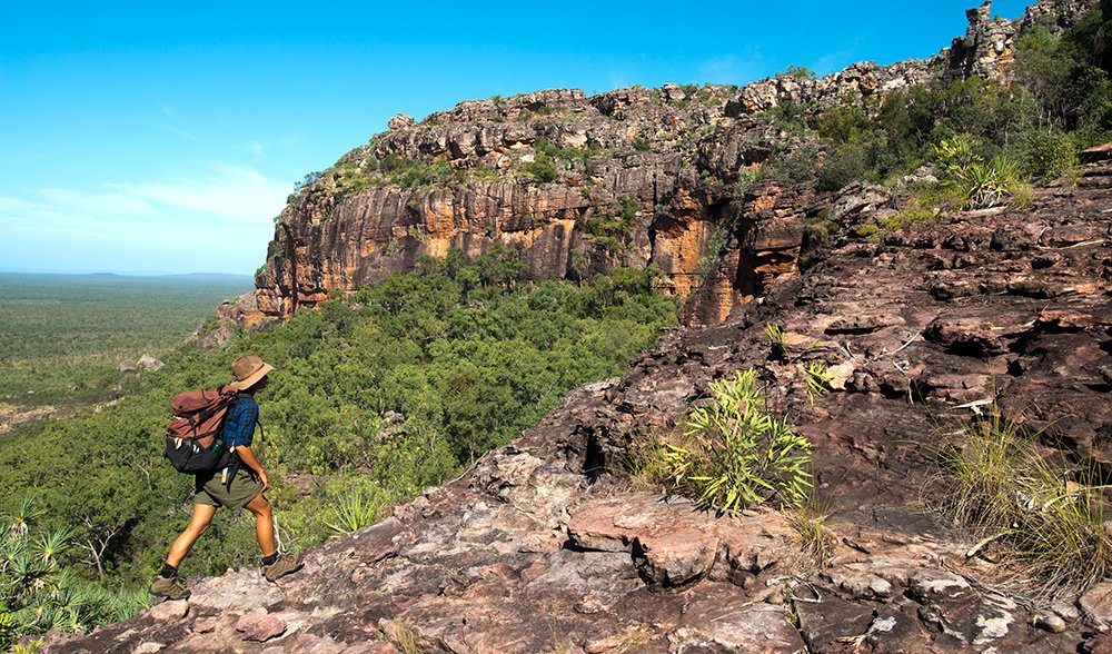 Kakadu Tours: Your Gateway to Untamed Beauty and Wildlife