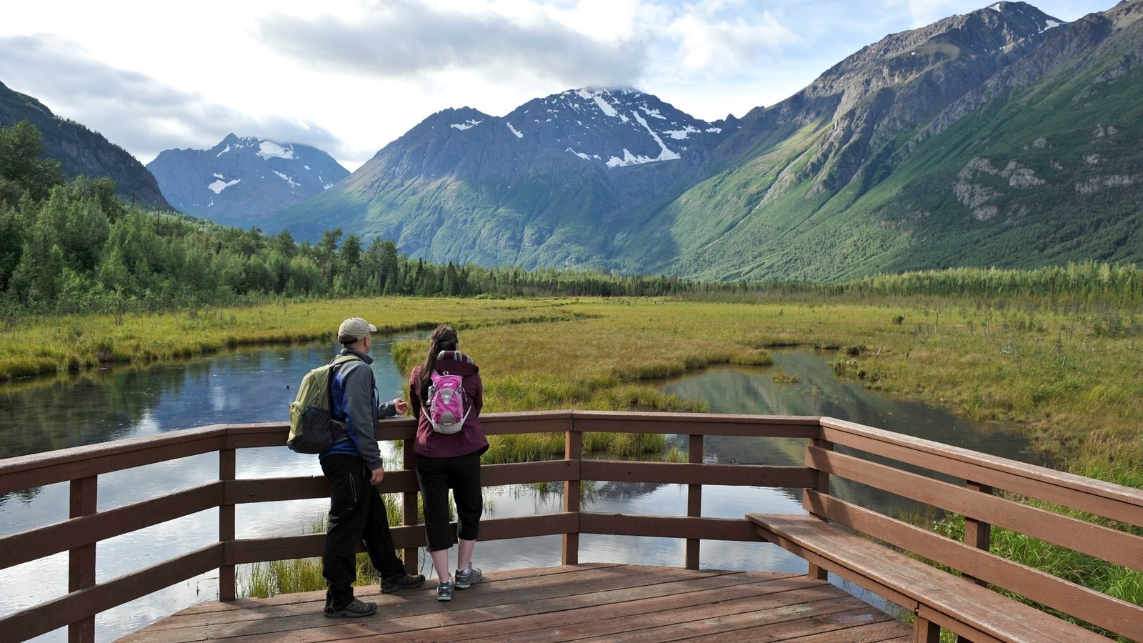 How Guided Alaska Group Tours Enhance Your Wildlife Viewing Experience