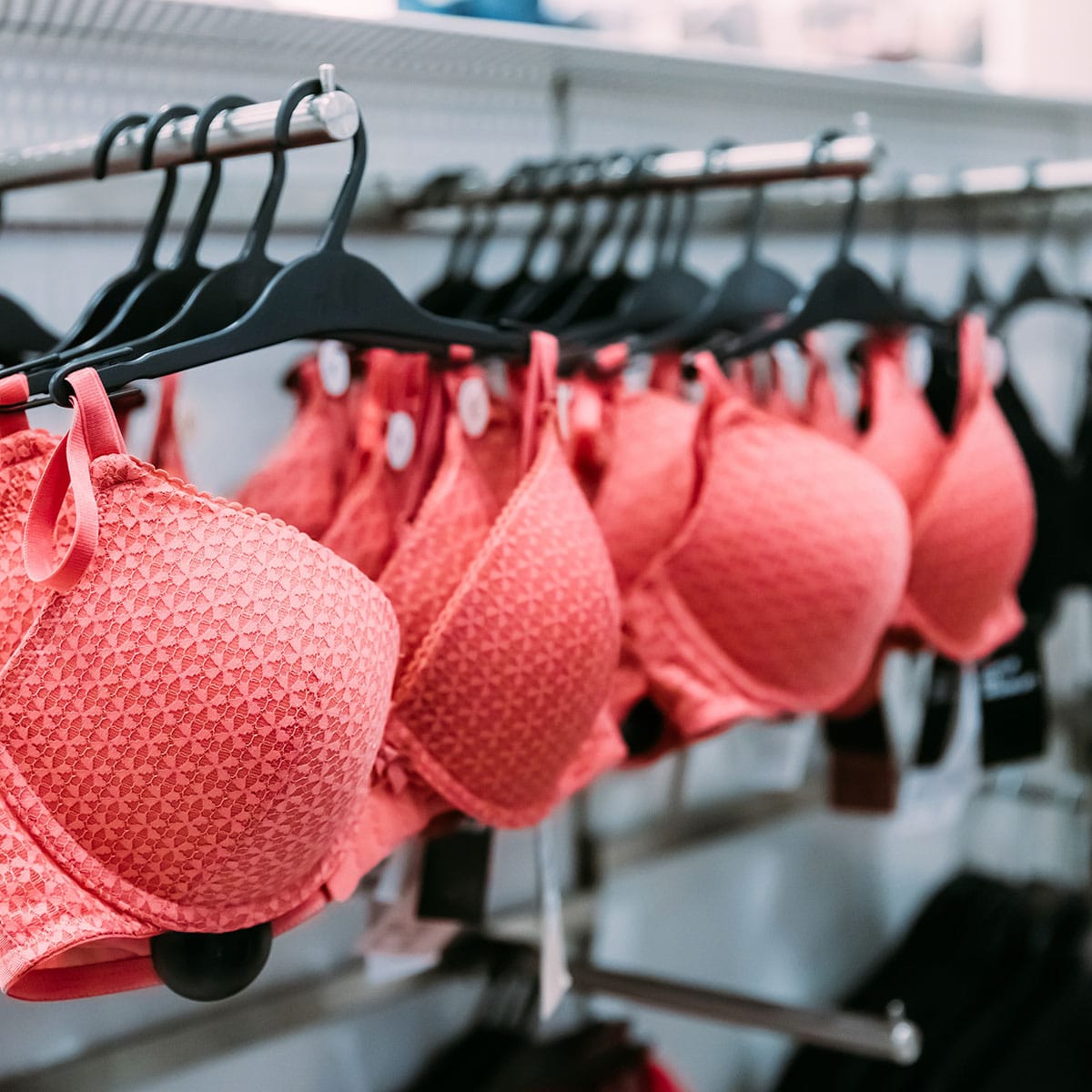 Love Your Shape: Bras that Celebrate Bigger Busts!